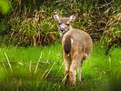 Don't Sneak Up on Me