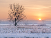 A winter morning 