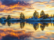 Summer calm 