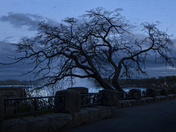 Blue hour Niagara Falls