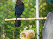 What's More Interesting Than Seed