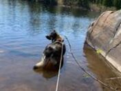 MY Beautiful Max went for a swim