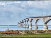 P.E.I. in one picture 