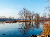 Morning mist along the river