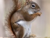 Relaxing in the Park