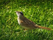 Admiring the Golden Globe