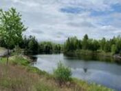 what a beautiful day 