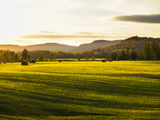 Field of light