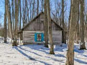 Sugar Shack