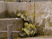 Have a little help from your friends