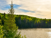 Hazy Afternoon Shoreline