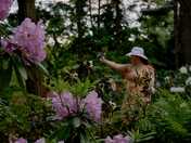 Flower among flowers.