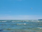People, Seagulls and shore 