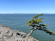 Beautiful day on the coast 