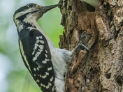 Bond that cannot be broken