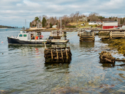 The Cove