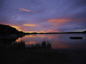 Pink Sunset