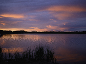 Pink Sunset