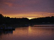 Pink Sunset