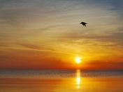 Sunrise over Lake Ontario