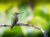 The Calm Before the Storm