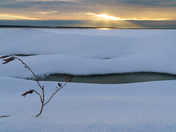 Alone and cold 