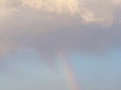 Little Rainbow 