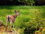 Checking Out the Area