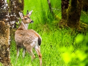 I Know There's Someone Behind Me