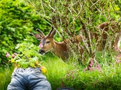 He's Got Eyes On This One