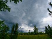 Thunder Rolls
