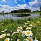 Next upload