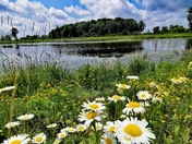 Breathtaking biking views in Nature