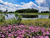 Beautiful Nature