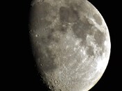 The moon