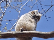 Sleeping in the sunshine 