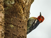 Putting A Different Slant On Things