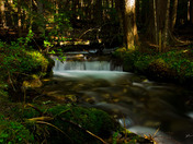 Seasonal Creek