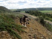 Bone Creek, Saskatchewan