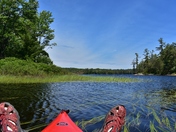 Recharging batteries in the nature.