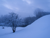 Alone in the snow 