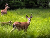 Hanging Out Together 