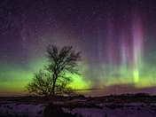 Aurora Dance