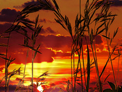 Saskatchewan Sunset
