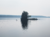 Converse with Nature 