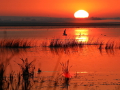 Sunrise at Frank Lake
