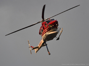 Red and white wildcat flying high