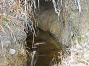 Mc Manus lake  Winter Fall 
