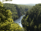 In Side Algonquin Park 
