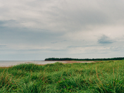 shoreline